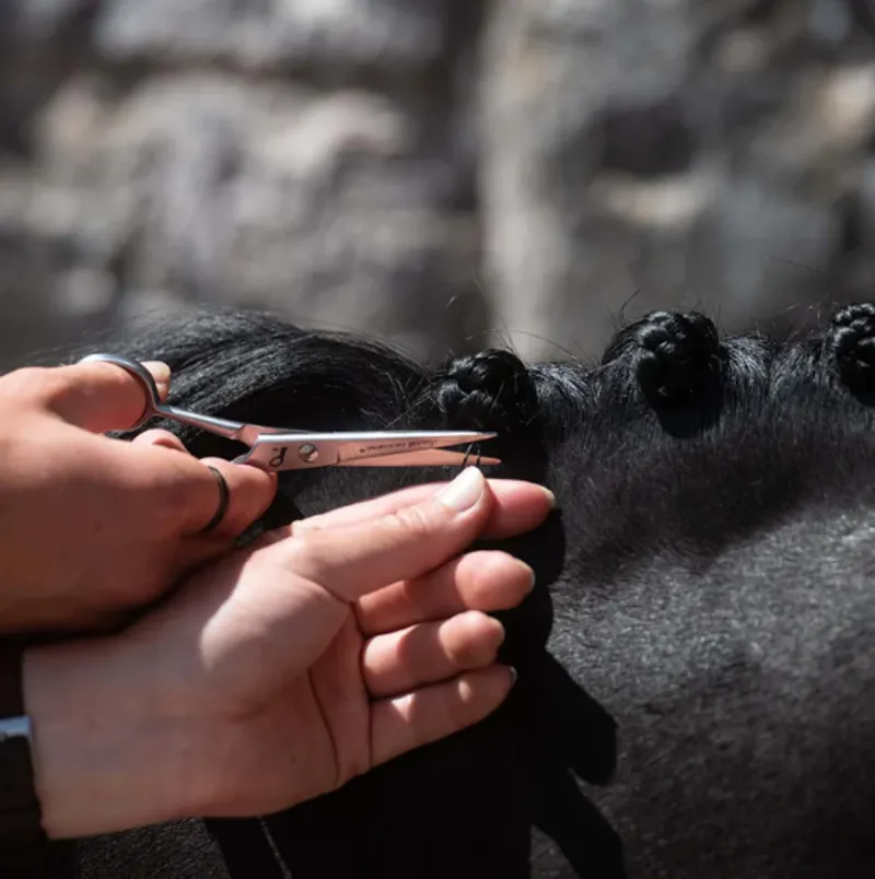 Smart Grooming - 5 Pointed Trimming Scissor
